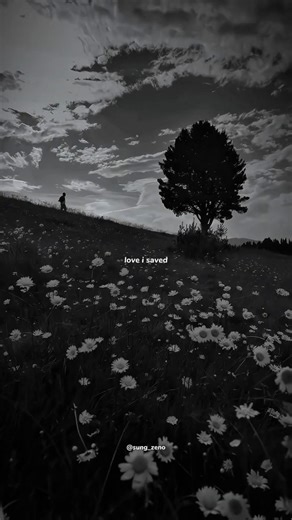 Arcade - Duncan Laurence | lyrics | aesthetic | English songs | whatsapp status | Slowed | speed up