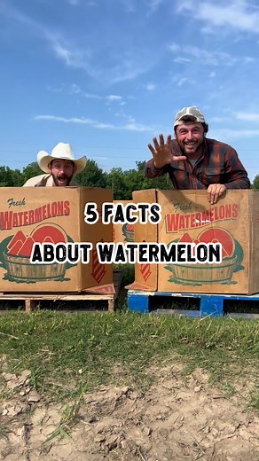 1.9K views · 20K reactions | 5 Facts About Watermelon  ...