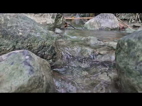 Real Water Sounds for Stress Relief | Natural Flowing Water Sounds for Relaxation & Calm