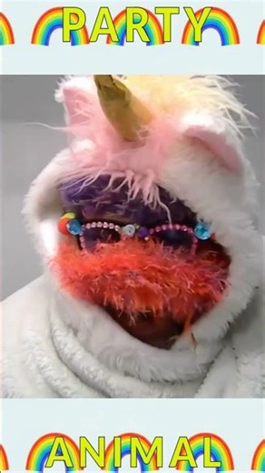 Party Animal
