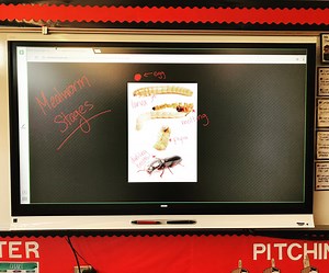 Digital Technologies