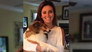 'Samantha Josephson Ridesharing Safety Act' headed to SC Senate after House approval