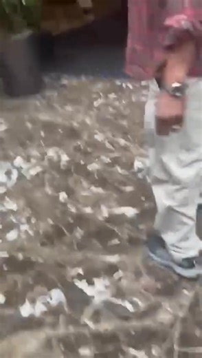 وفد حكومة تأسيس فيهو عبدالباري وزير العدل والقوني، طيب القوني دخل كيف امريكا وهو عليه عقوبات عشان تعرفو الناس دي واصله بعدين الكوز الرمه ده يشتم نصر الدين عبدالباري ده عندو دكتوراه من جامعة هارفرد ما زيك انته يارمه يا مبهدل اكيد سايق اوبر ولقيتهم صدفه وعايز تعمل بطل والدليل طردوك انته من الفندق صاح الشغل ما عيب بس العيب لمن الزول يكون ما عندو قيمة ويتجراء علي ناس احسن منه مكانه اجتماعيا | Adil Ibrahim