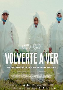 Volverte a ver - película: Ver online en español