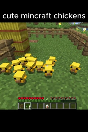 CUTE CHICKEN SOUND #minecraft
