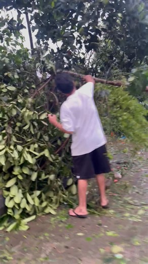 Kriz Mushroom on Reels