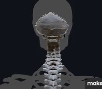 Human Anatomy Explained: The Ultimate Guide of Cervical Spine Movements | Anatomy.app on Make a GIF