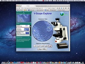 V-Scope Microbiology Instruction Video