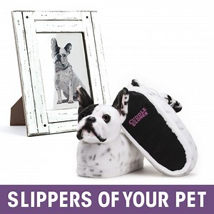 858 reactions · 705 shares | Slippers Custom Made to look like your  ✅ 4.8/5⭐ customer reviews ✅ 100% 헠헼헻헲혆 헕헮헰헸 헦헮혁헶혀헳헮헰혁헶헼헻 헚혂헮헿헮헻혁헲헲 ✅ We make ALL animals - dogs, cats, rabbits, etc. 푻푯푬 푮푰푭푻  for those who are CRAZY about their Pet! ❤️ It's easy! Just upload pics of your pet  | Cuddle Clones | Facebook