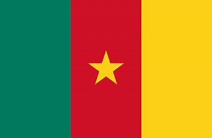 Cameroon BESC Certificate - ECTN loading document