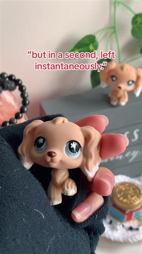 pov of my lps custom #lps #littlestpetshop #lpstiktok #lps568 #rarelps #lpscustom #lpspov