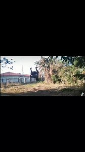 Baka mahilo ka? | Rap Rap