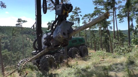 Silvatec Equipment Handling Heavy Loads in Summertime