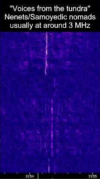 Voices from the tundra #nenet #nenets #siberia #tundra #radio #shorts (see description)