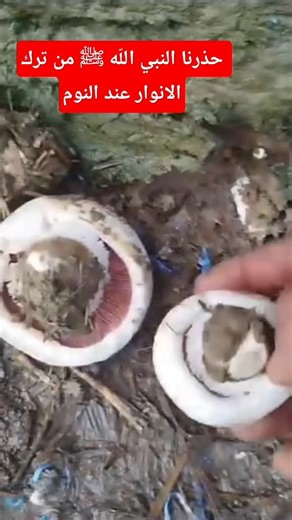 The Prophet Muhammad (peace and blessings be upon him) warned us against leaving lights on when g...