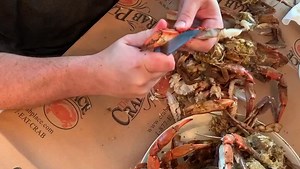 1.3K views · 36 reactions | How do you crack open your crab claws? Did you know you can order just the crab's claws from www.CrabPlace.com? Place your order today and pick the delivery date of your choice. | CrabPlace.com | Facebook