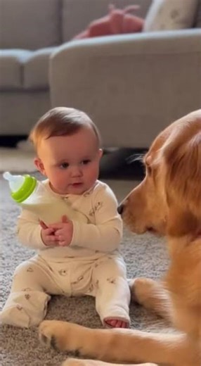 amezing animal and babe reflex momen