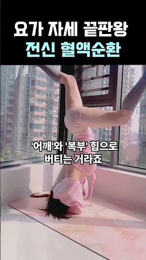 요가자세 끝판왕 전신 혈액 순환 #스트레칭 #운동교육 #홈트 #피트니스 #운동쇼츠 #유연성 #동기부여