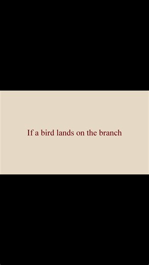If a bird lands on the branch, does the bird trust the branch or does it trust its wings?