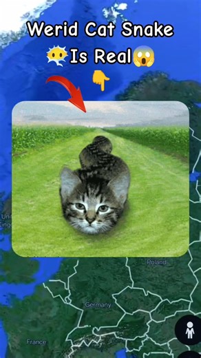 Cat Snake Is Real 😶‍🌫️😱 on google maps and google earth 🌎 #shots #datachampion