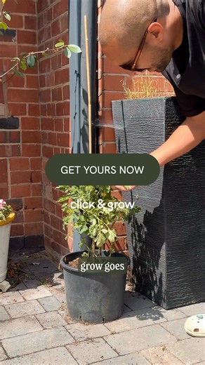 No mess, no stress—just fresh homegrown food in weeks! 🌱 Click & Grow is the easiest way to grow 65 plant varieties indoors. Just plug in, add water, and let the smart garden do the rest! 🍅🌿 | Click & Grow