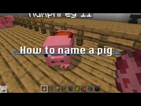 How to Name your Pig in Minecraft (cc)
