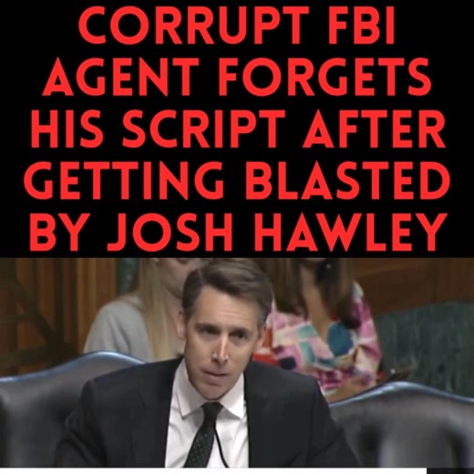 1.7M views · 64K reactions | I’ve replayed this like 10 times and it gets funnier every time.  | DC Swamp | Facebook