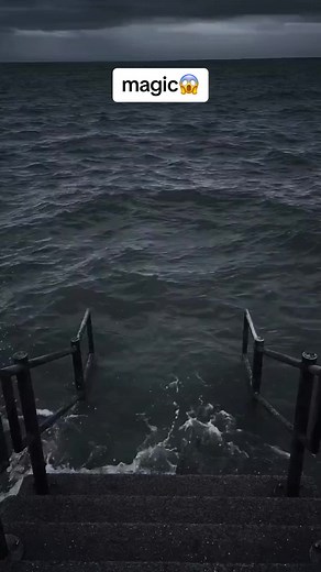 #funny #funnyvideo #funnyclip | funny video