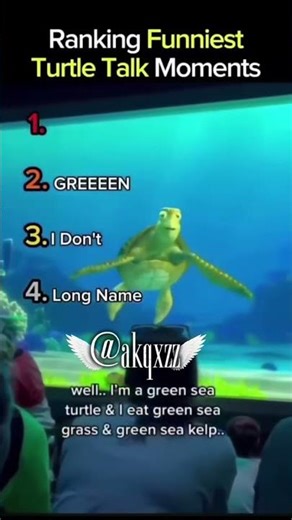 Ranking funniest turtle talk moments! 😂