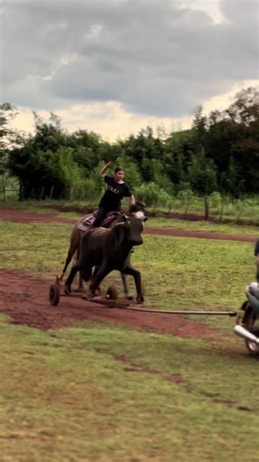 Os vídeos de Mari_Barbieri 🦅🪶🐴🇧🇷 (@mariii.barbieri) com som original - Higor Dos Santos Alves