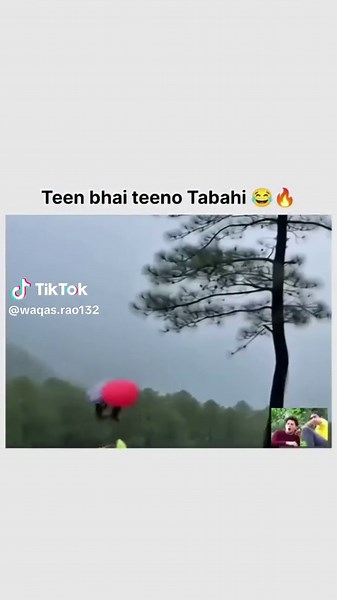 Teeno Tabahi: Hilarious Moments with Monkeys