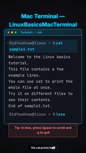 How to use ifconfig in Linux 🐧 | Networking Basics #Shorts