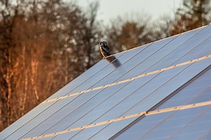 Tesla Solar Panel Tax Credit: What You Need to Know in 2024