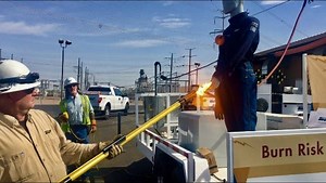 What to do if you encounter a fallen power line