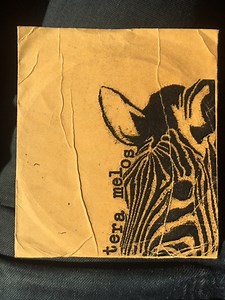 Tera Melos - Some Songs