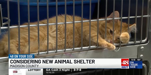 Madison Co. leaders considering new animal shelter to manage overcrowding issues
