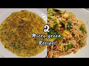 2 Healthy Microgreen Recipes | Microgreen Omlette | Microgreen Fried Rice