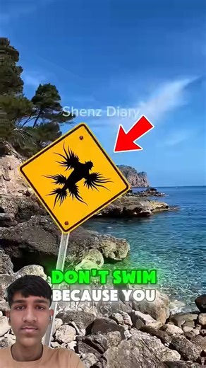 if you ever see this sign🤪