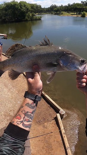 hazraefishin on TikTok