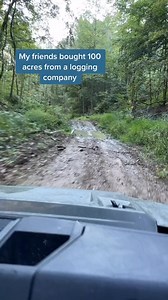 Not pictured all the bear homestead homesteading landrestoration | Alaina wood