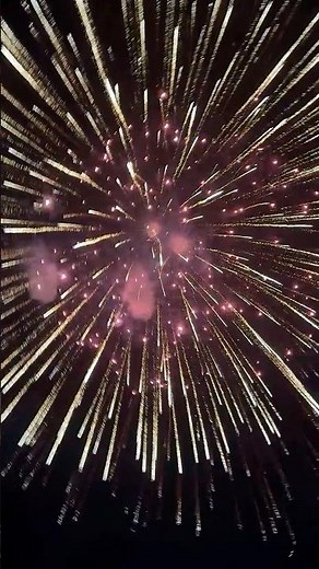12" inch (300mm) Display Shells Cny 2026 #fireworks #pyrotechnica #feuerwerk #vuurwerk