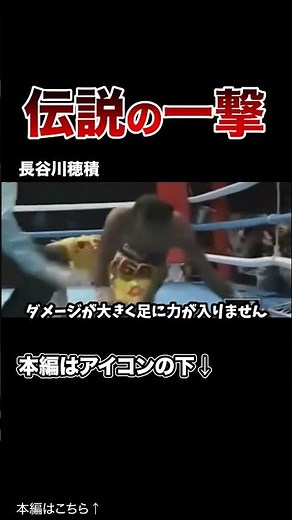 【衝撃】世界が震撼したボクシング"伝説のKO#格闘技 #ボクシング #MMA