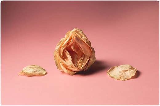 Why Do Older Women Lose their Libido (and How to Get it Back)?