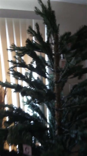 This is by far the biggest tree we ever had but with a little rearranging and creativity I will make it work.🎄 #christmastree #contentcreator #fblifestylechallenge | Sarah Story