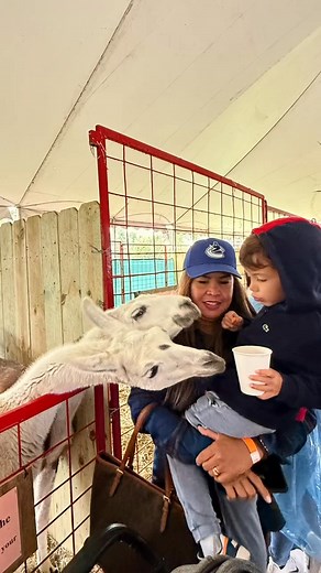 Chicago Trip with my wife | David Merrin