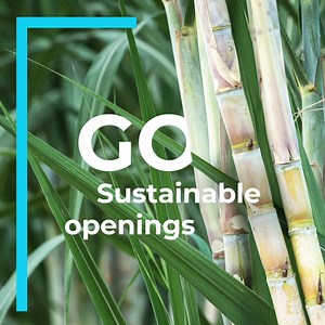 The work to deliver sustainable packaging solutions includes focusing on innovations designed to reduce litter. Offering alternatives that replace fossil-based plastics while preventing litter are key milestones in our journey towards the world's most sustainable food package. | Tetra Pak