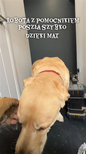  Piękno i trwałość w jednym – dębowe i panelowe nakładki na schody!...