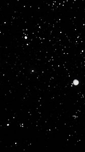 Snowfall overlay on black background. vertical looped video Premium Stock Video Footage