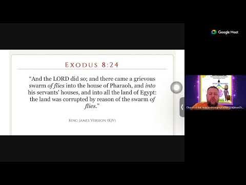 Exodus 8-9 - The Plague of the Flies, Weasels, Snakes, Hail, Hornets, & Murrain