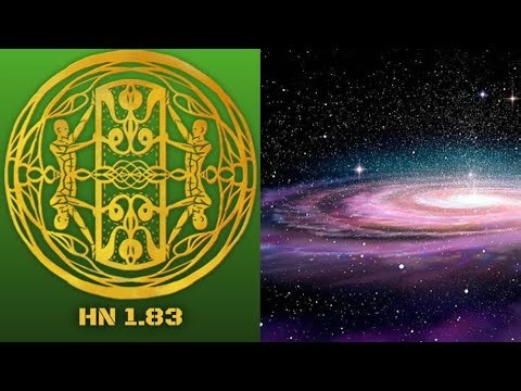 A Cat Reads || The Wanderer's Library || HN 1.83